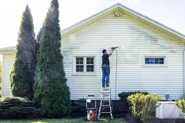 Best Fence Cleaning  in Forreston, IL
